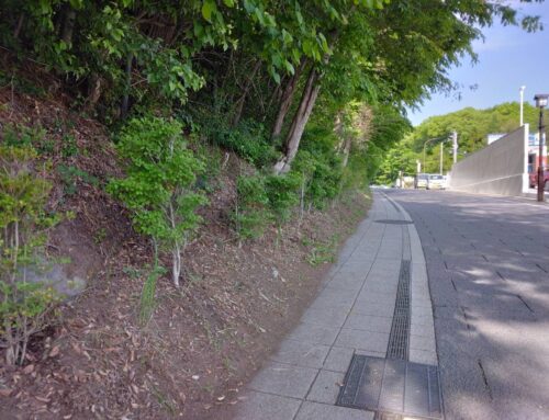 軽井沢５３０（ゴミゼロ）運動で追分地区内を清掃