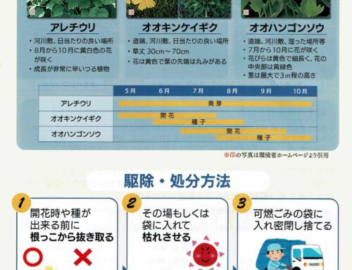 特定外来生物の特徴と処分法