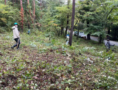集合時間変更あり：軽井沢町国有林　9.23薮刈り行事のお知らせ