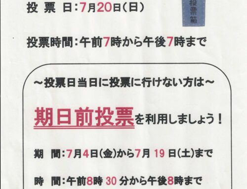 ７月２０日（日）は参院選投票日