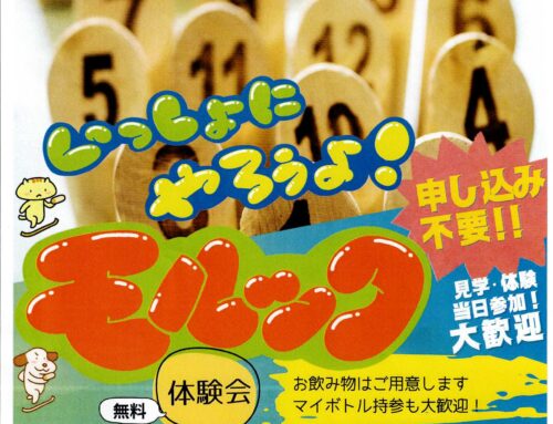 いっしょにやろうよ！モルック